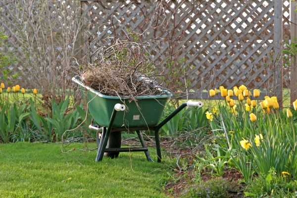 Flower Bed Cleanup Service in Saint Charles