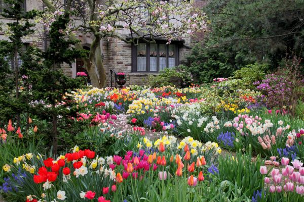 Garden Maintenance Service in Saint Charles