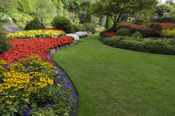 Landscaping Maintenance in Saint Charles