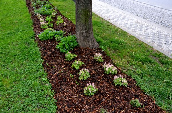 Mulch Replacement Service in Saint Charles