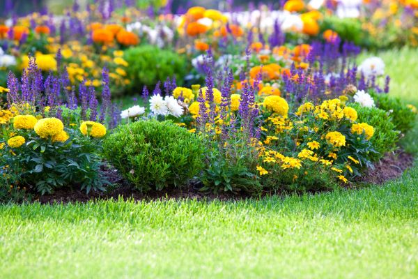 Garden Installation in Saint Charles