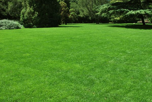 Lawn Landscaping in Saint Charles