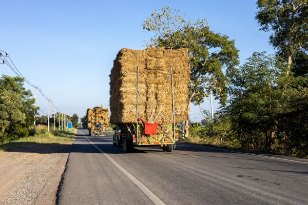 Pine Straw Delivery in Saint Charles