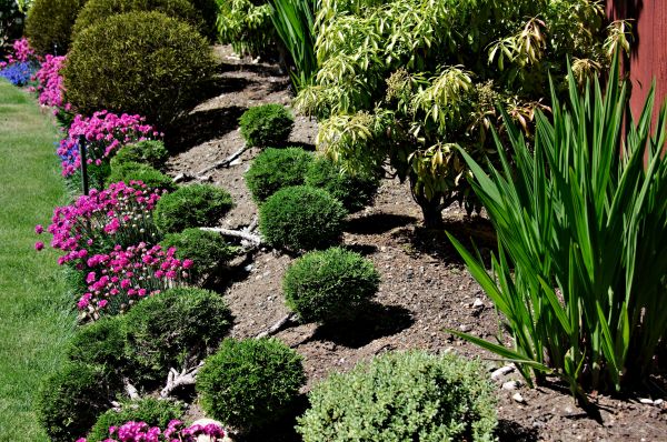 Residential Gardening in Saint Charles