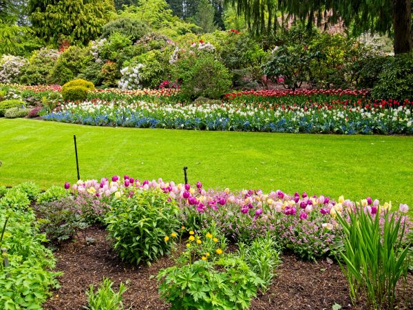 Residential Landscape Design in Saint Charles