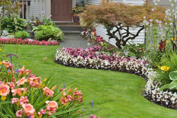 Perennial Landscaping in Saint Charles