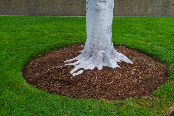 Brown Mulch Installation in Saint Charles