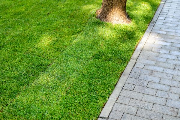 Border Stone Installation in Saint Charles