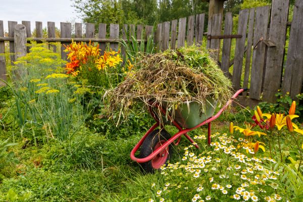 Garden Cleanup Service in Saint Charles