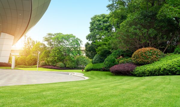 Business Landscape Design in Saint Charles