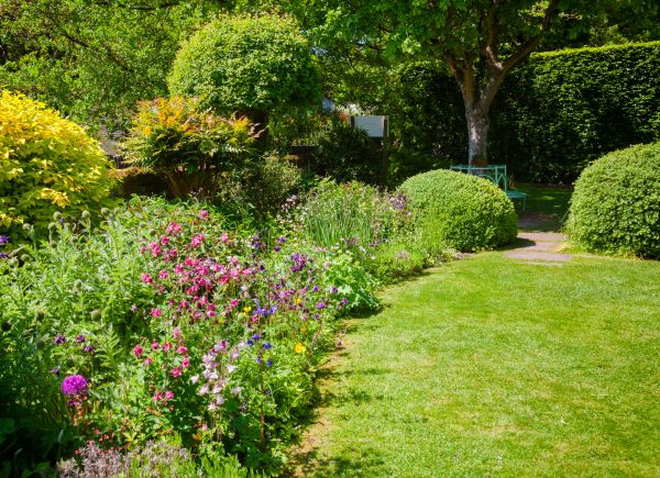 Yard Landscaping Service in Saint Charles