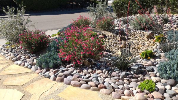 Xeriscape Landscaping in Saint Charles