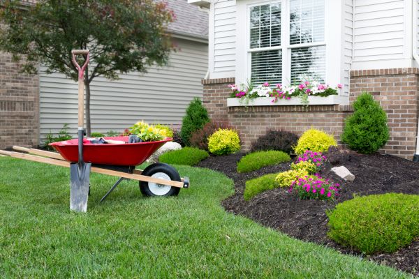 Tree And Shrub Planting in Saint Charles