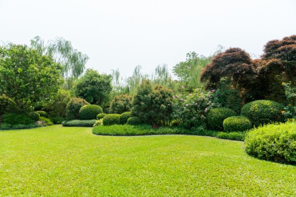 Tree Landscaping in Saint Charles