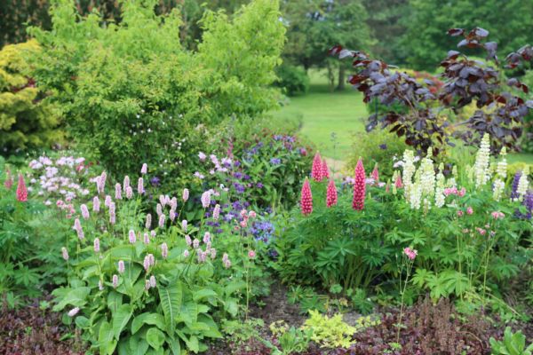 Flower Bed Planting in Saint Charles