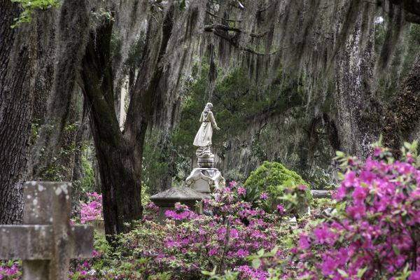 Cemetery Landscaping in Saint Charles
