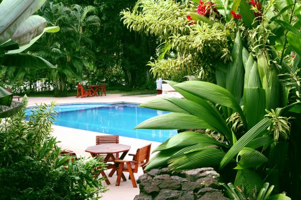 Tropical Garden Landscaping in Saint Charles