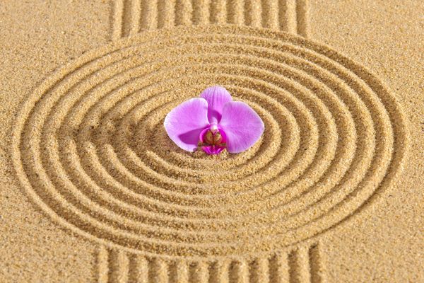 Sand Garden Landscaping in Saint Charles