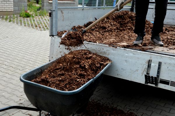 Cypress Mulch Delivery in Saint Charles
