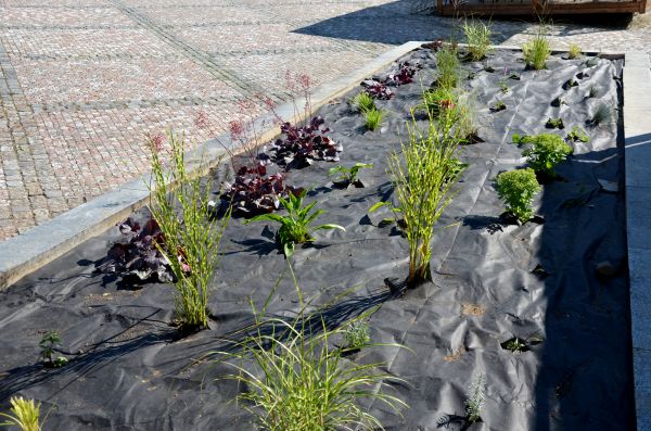 Landscape Fabric Installation in Saint Charles