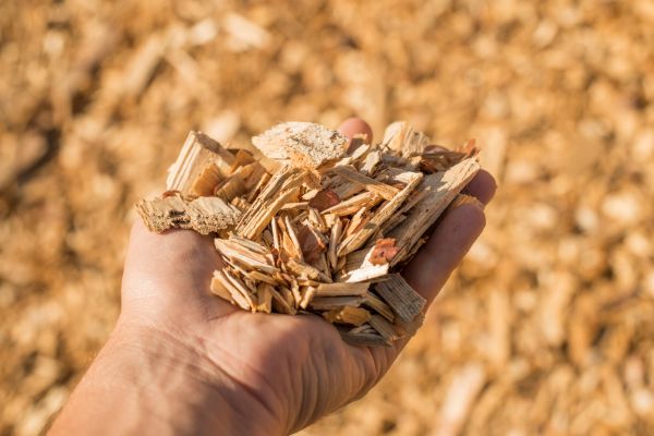 Wood Chips Spreading in Saint Charles