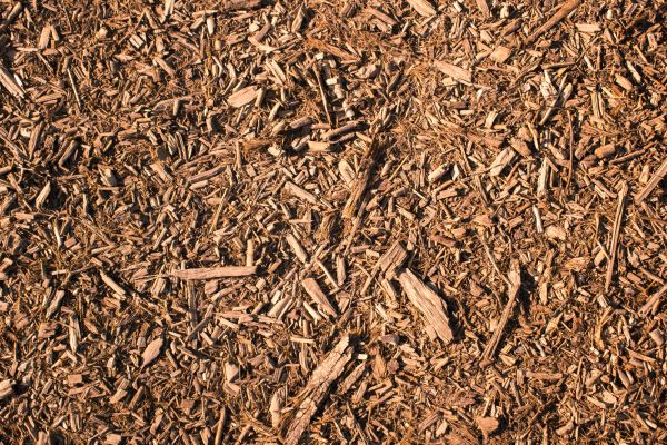Wood Chips Removal in Saint Charles