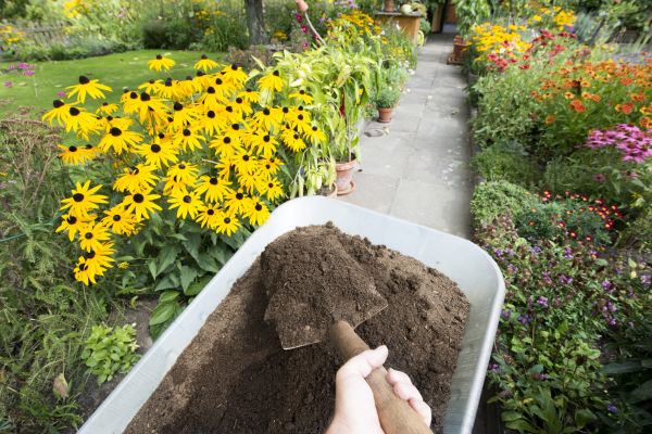 Topsoil Replacement in Saint Charles