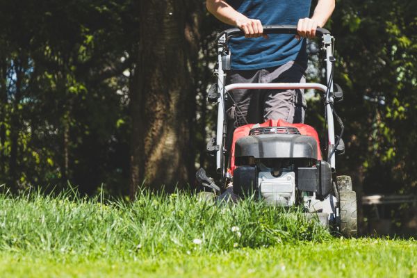 Garden Trimming Service in Saint Charles