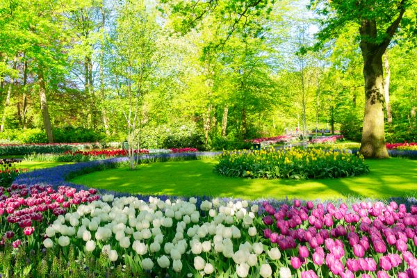 Flower Landscaping in Saint Charles