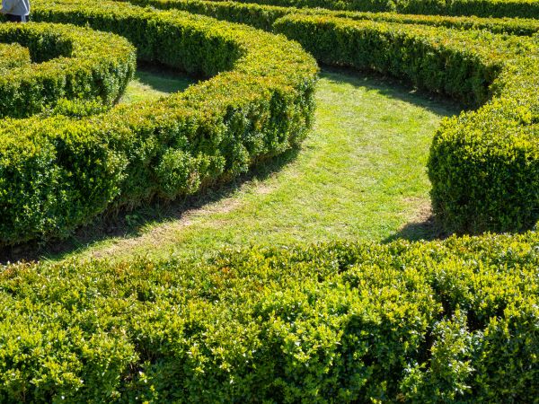 Bush Landscaping in Saint Charles