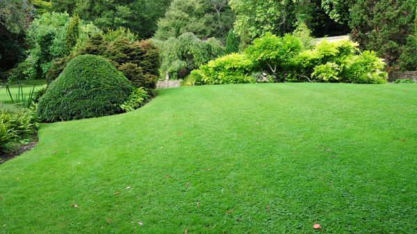 Commercial Landscape Design in Saint Charles