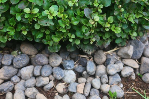 River Stone Installation in Saint Charles