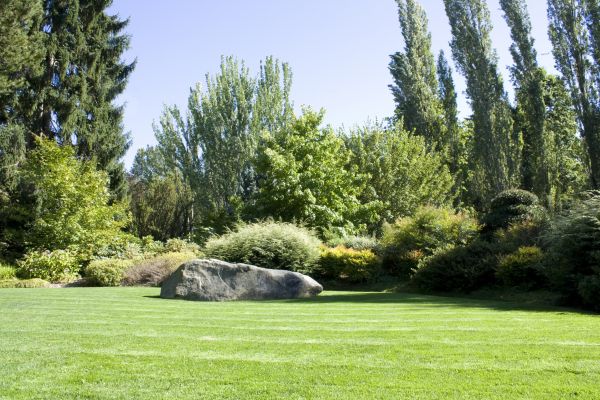 Yard Enlargement in Saint Charles