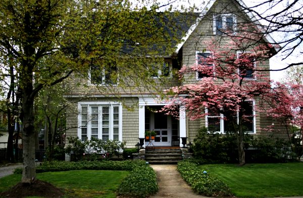 Ornamental Tree Planting in Saint Charles