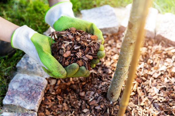 Tree Bark Delivery in Saint Charles