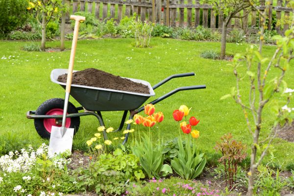 Spring Yard Renovation in Saint Charles
