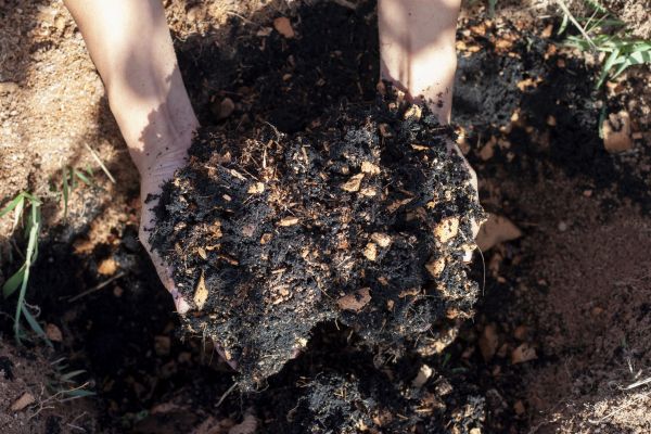 Organic Mulch Installation in Saint Charles