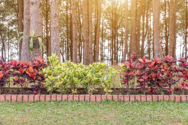 Small Garden Landscaping in Saint Charles