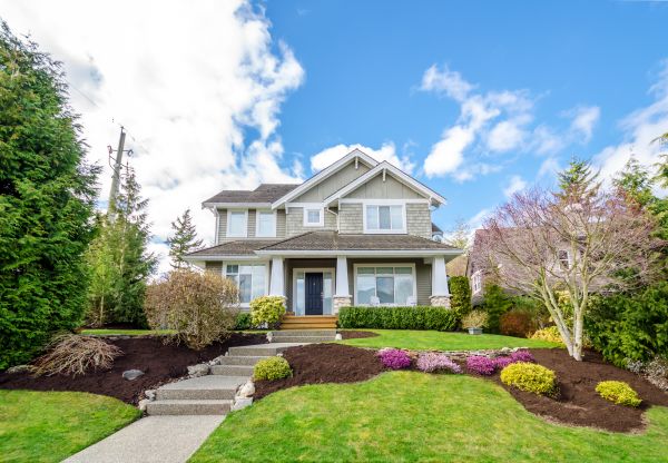 Landscaping Replacement in Saint Charles