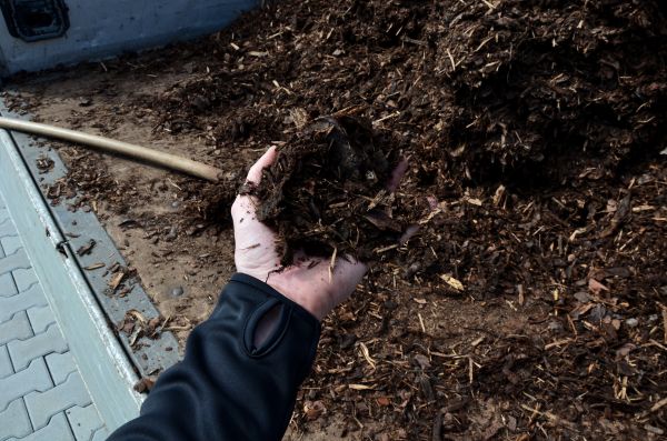 Condo Mulching in Saint Charles