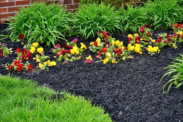 Apartment Mulching in Saint Charles