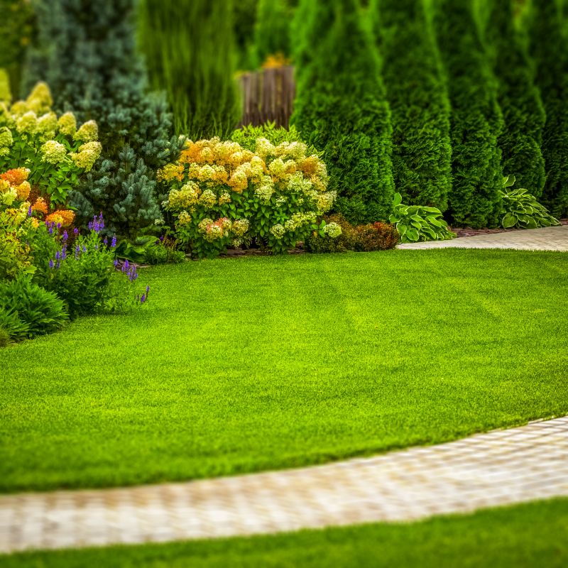 How Professional Landscaping Improves Curb Appeal